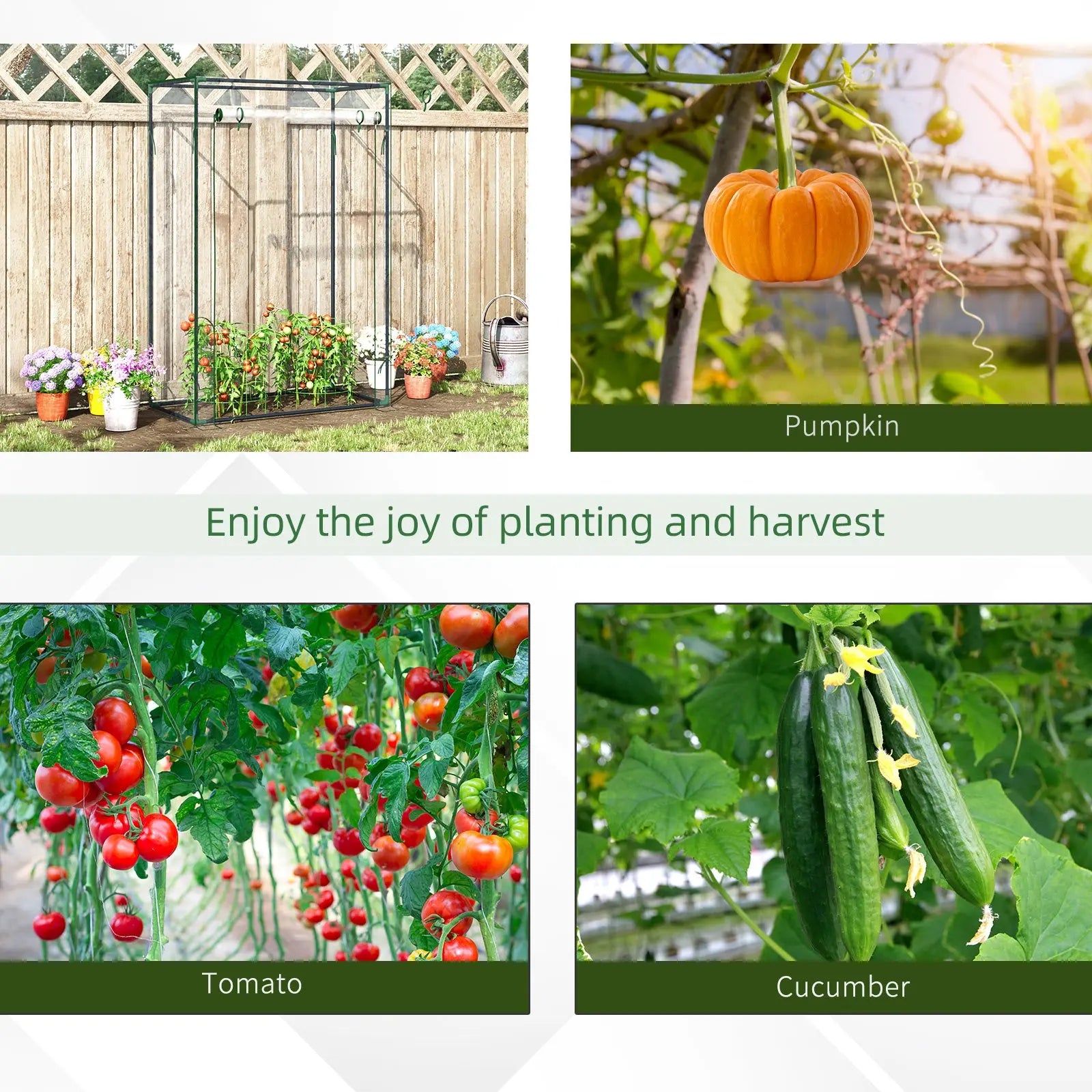 Outsunny Tomato Greenhouse with Roll-up Door, Mini Greenhouse with PVC Cover, Outdoor Grow House Small Green House for Yard, Balcony, Garden, 100 x 50 x 150cm, Transparent 