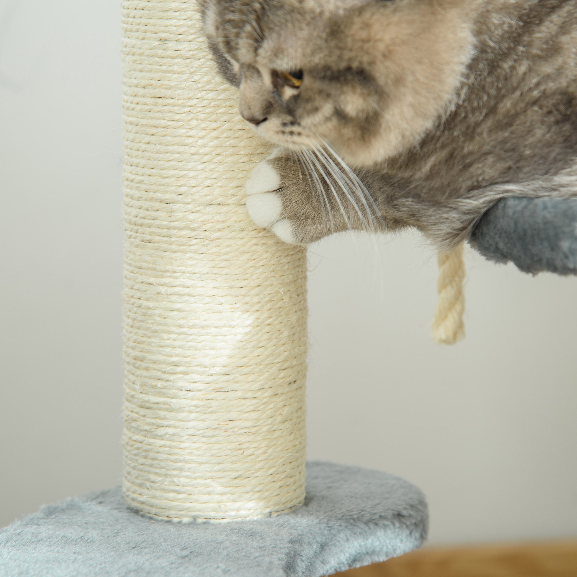 PawHut 65cm Cat Tree, Cat Tower for Kittens, Small Cat Condo with Sisal Scratching Posts, Hanging Rope, Perches - Grey 