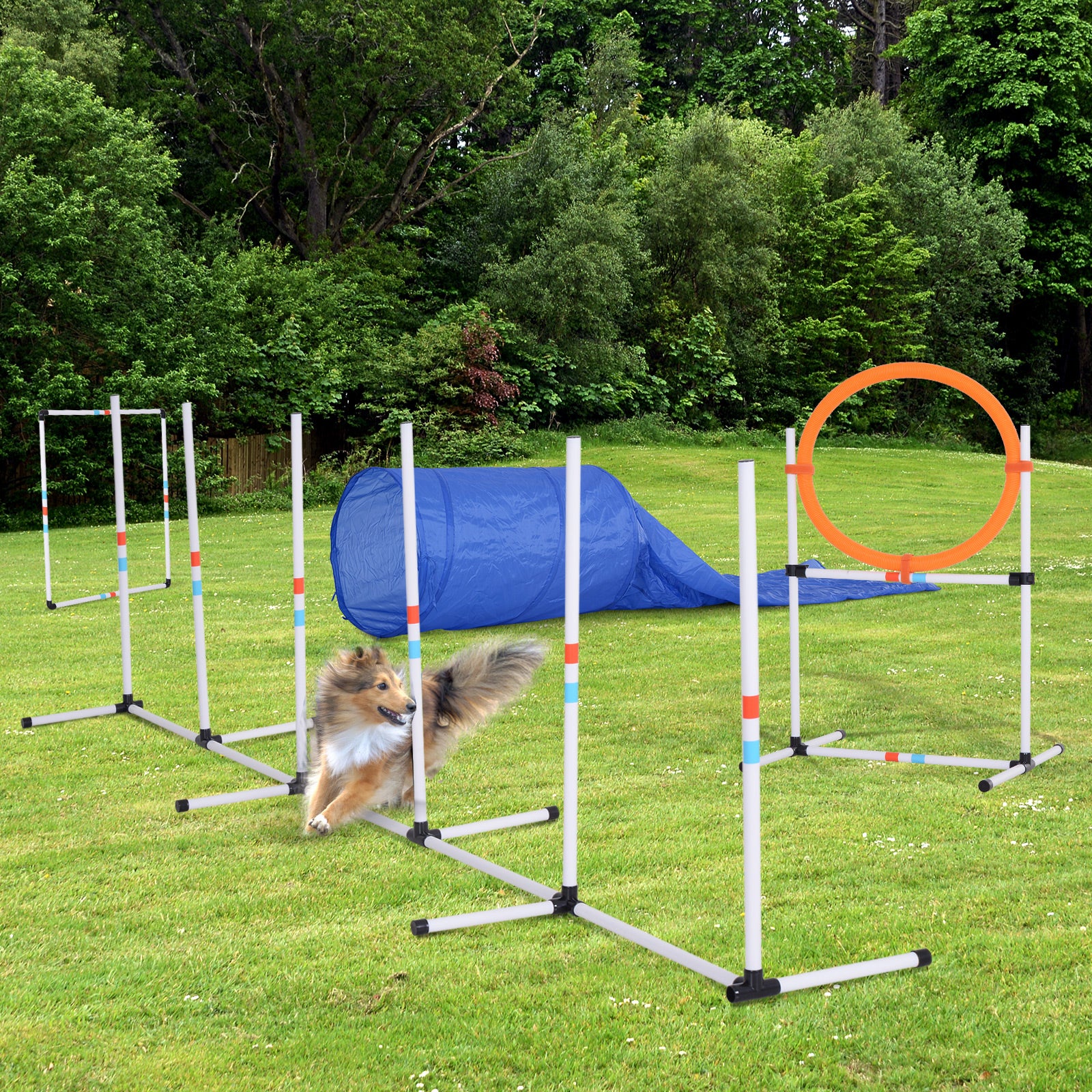 PawHut Dog Agility Equipment Training Set Carry Bag Adjustable (Pole + Hoop + Hurdle+Tunnel + Pause Box) 