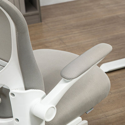 Vinsetto Multi-Adjustable Office Chair, with Lumbar Support, Headrest and Mesh Back - Grey 