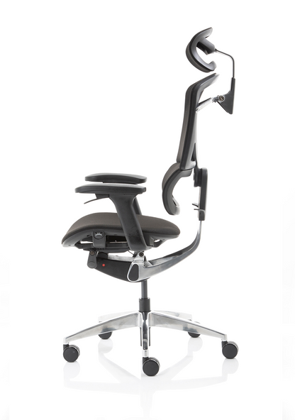 Ergo Click Plus High Back Ergonomic Posture Office Chair with Arms and Headrest