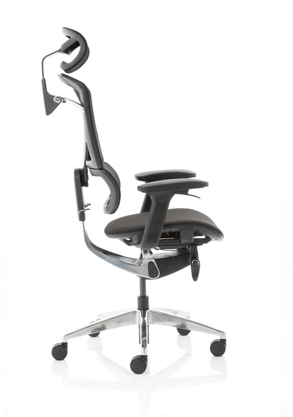 Ergo Click Plus High Back Ergonomic Posture Office Chair with Arms and Headrest