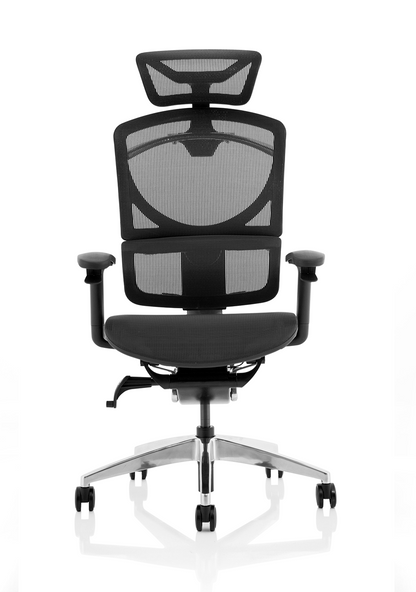 Ergo Click Plus High Back Ergonomic Posture Office Chair with Arms and Headrest