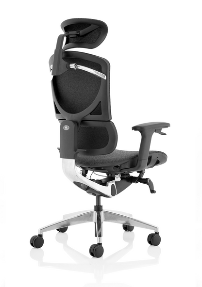 Ergo Click Plus High Back Ergonomic Posture Office Chair with Arms and Headrest