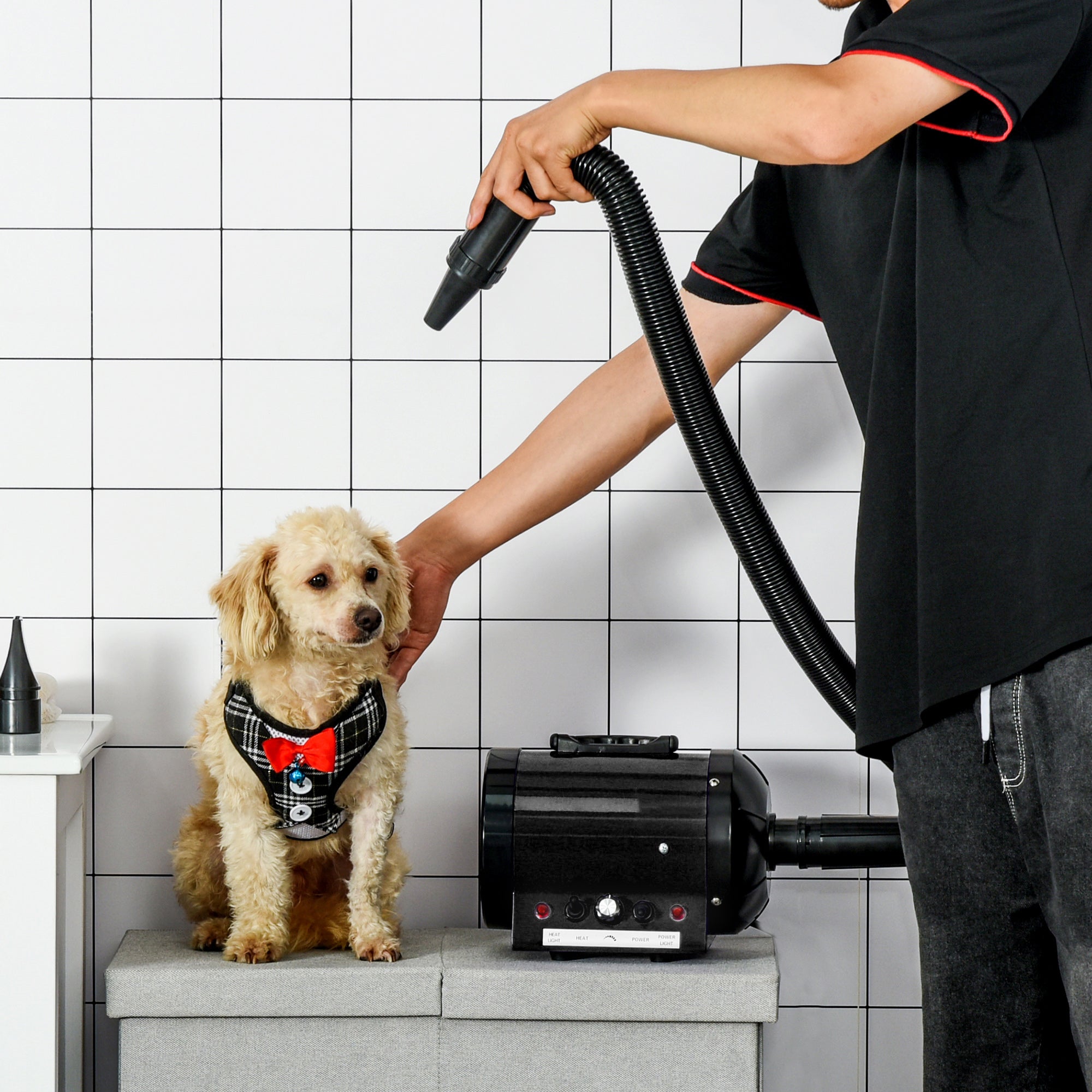 PawHut 2800W Dog Hair Dryer Pet Grooming Blaster Water Blower Dryer w/ 3 Nozzles, Black 
