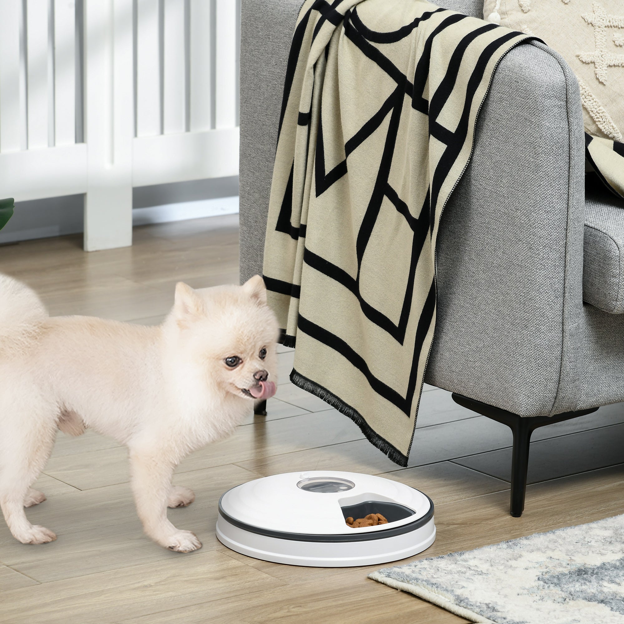 PawHut Automatic Pet Dog Cat Feeder w/ Digital Timer Six-Meal Food Dispenser 