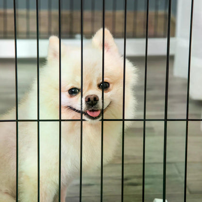 PawHut Freestanding Folding Pet Gate 4 Panels Dog Puppy Barrier with Support Feet 