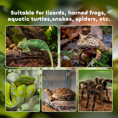 PawHut Glass Reptile Terrarium Insect Breeding Tank Vivarium Habitats with Thermometer for Lizards, Horned Frogs, Snakes, Spiders - Medium 50 x 30 x 25cm 