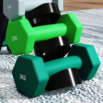 SPORTNOW Dumbbells Set with Carry Storage Rack, Set of 6 Weights for Home Gym Kettlebell Training Weight Lifting Exercise, 2 x 1kg, 2 x 2kg, 2 x 3kg 