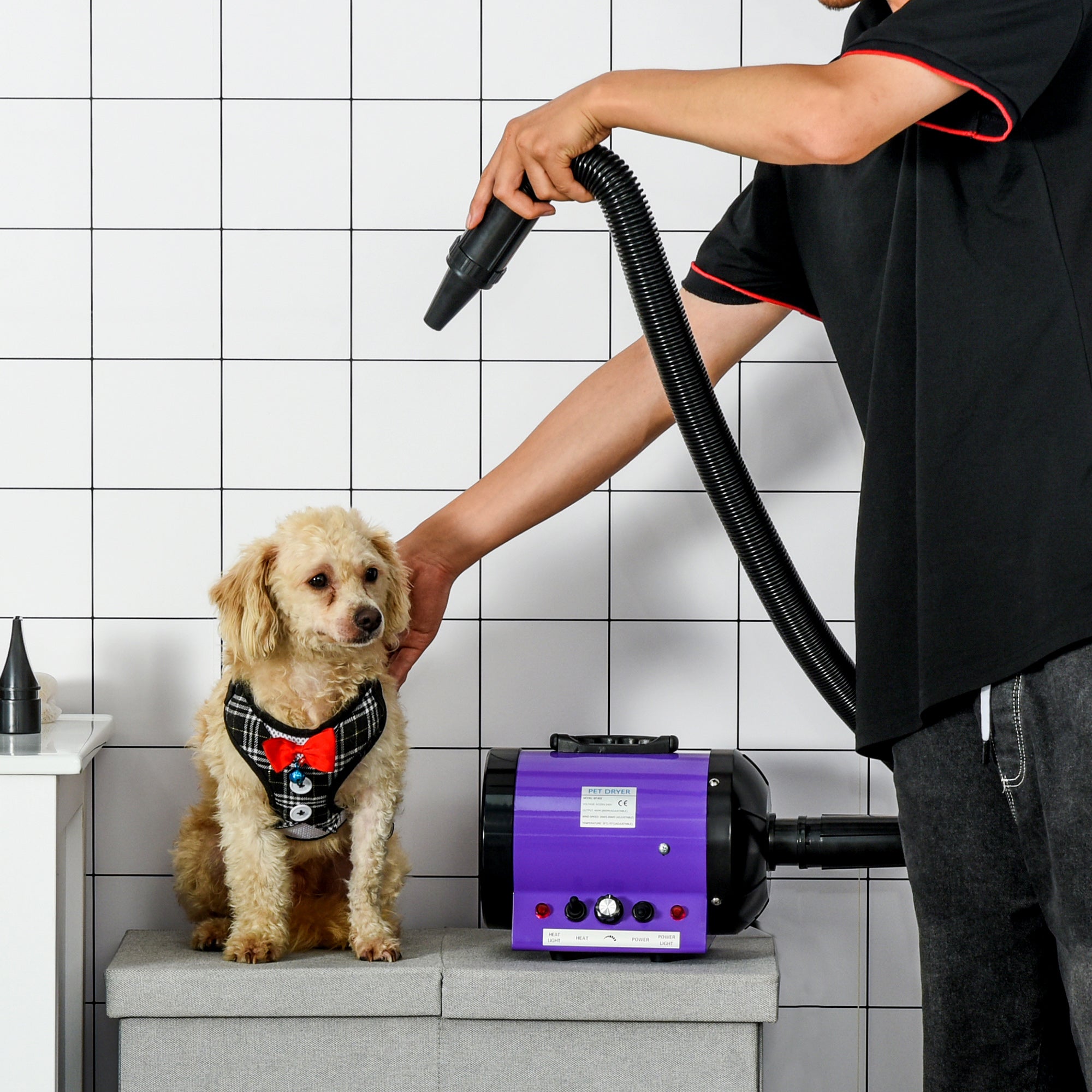 PawHut 2800W Dog Hair Dryer Pet Grooming Blaster Water Blower Dryer w/ 3 Nozzles, Purple 