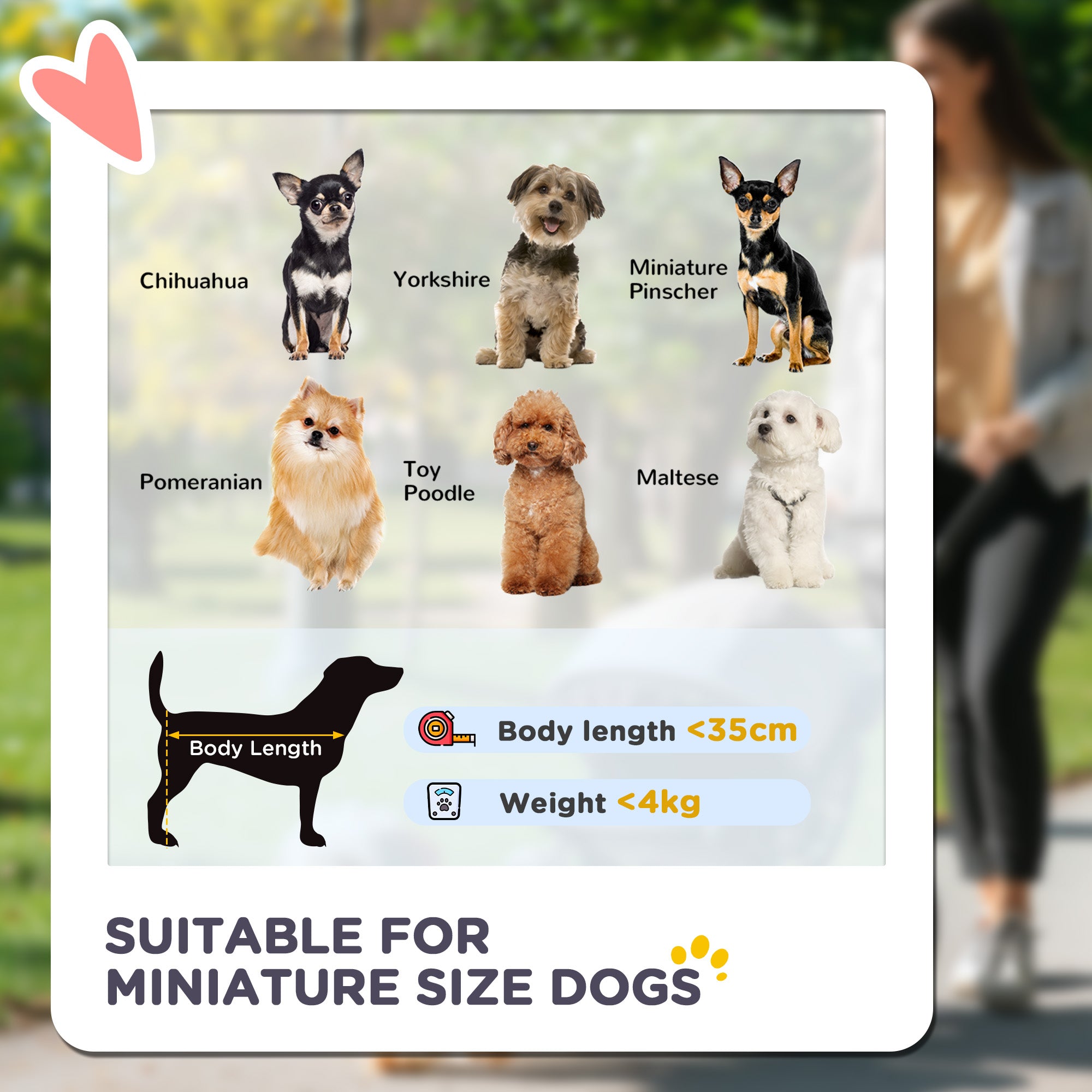 PawHut 3 in 1 Pet Stroller, Folding 4 Wheels Dog Pram with Detachable Carrier for Mini Dogs Cats, Black 
