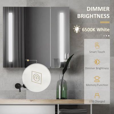 Illuminated Bathroom Mirror Cabinet 650 x 700Hmm LED Bathroom Mirror with Lights Touch Switch, Adjustable Shelf,  USB Charge, White 