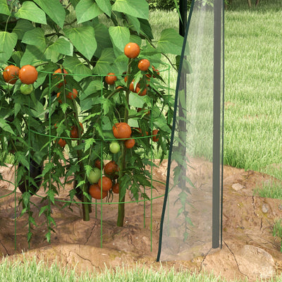 Outsunny Mini Greenhouse, Garden Tomato Growhouse with 2 Zipped Doors, Portable Indoor Outdoor Green House, 90 x 90 x 145cm, Clear 