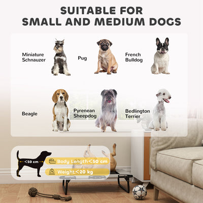 PawHut Portable Raised Dog Bed, Elevated Pet Cot with Breathable Mesh for Indoor Outdoor, for Small Medium Dogs, Light Grey 