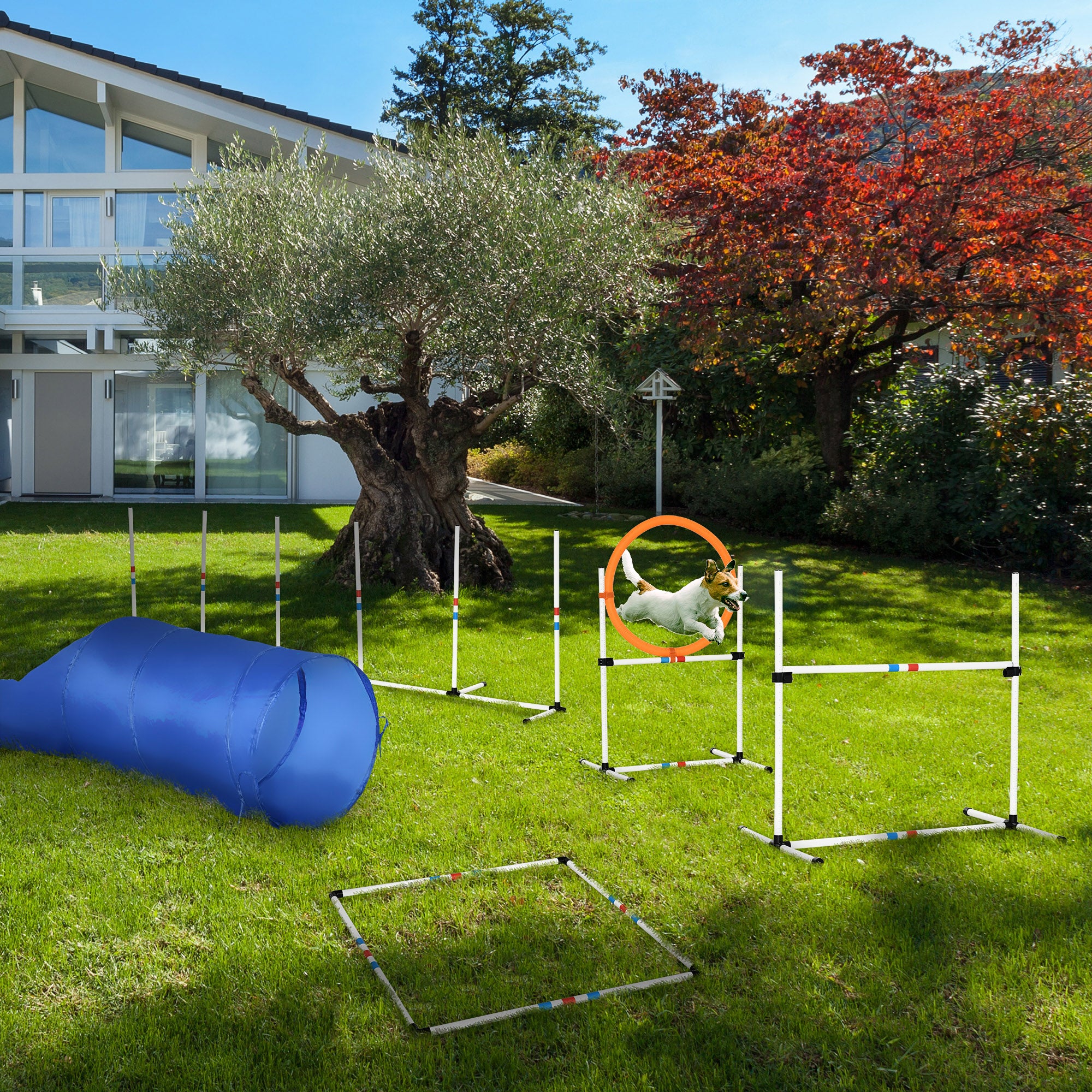 PawHut Dog Agility Equipment Training Set Carry Bag Adjustable (Pole + Hoop + Hurdle+Tunnel + Pause Box) 