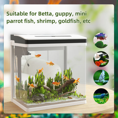 PawHut 28L Glass Aquarium Fish Tank with Filter, LED Lighting, for Betta, Guppy, Mini Parrot Fish, Shrimp, 38 x 26 x 39.5cm 