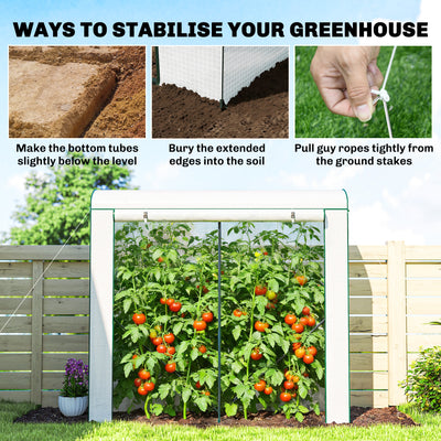 Outsunny Mini Greenhouse, Garden Tomato Growhouse with Roll-Up Door and 2 Mesh Windows, PE Cover, 200 x 75 x 188 cm, White 