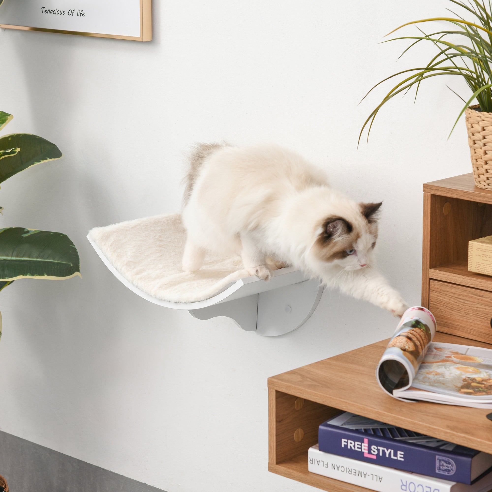 PawHut Wood Cat Shelves Wall-Mounted Shelter Curved Kitten Bed Cat Perch Climber Cat Furniture 41 x 28 x 21cm White 