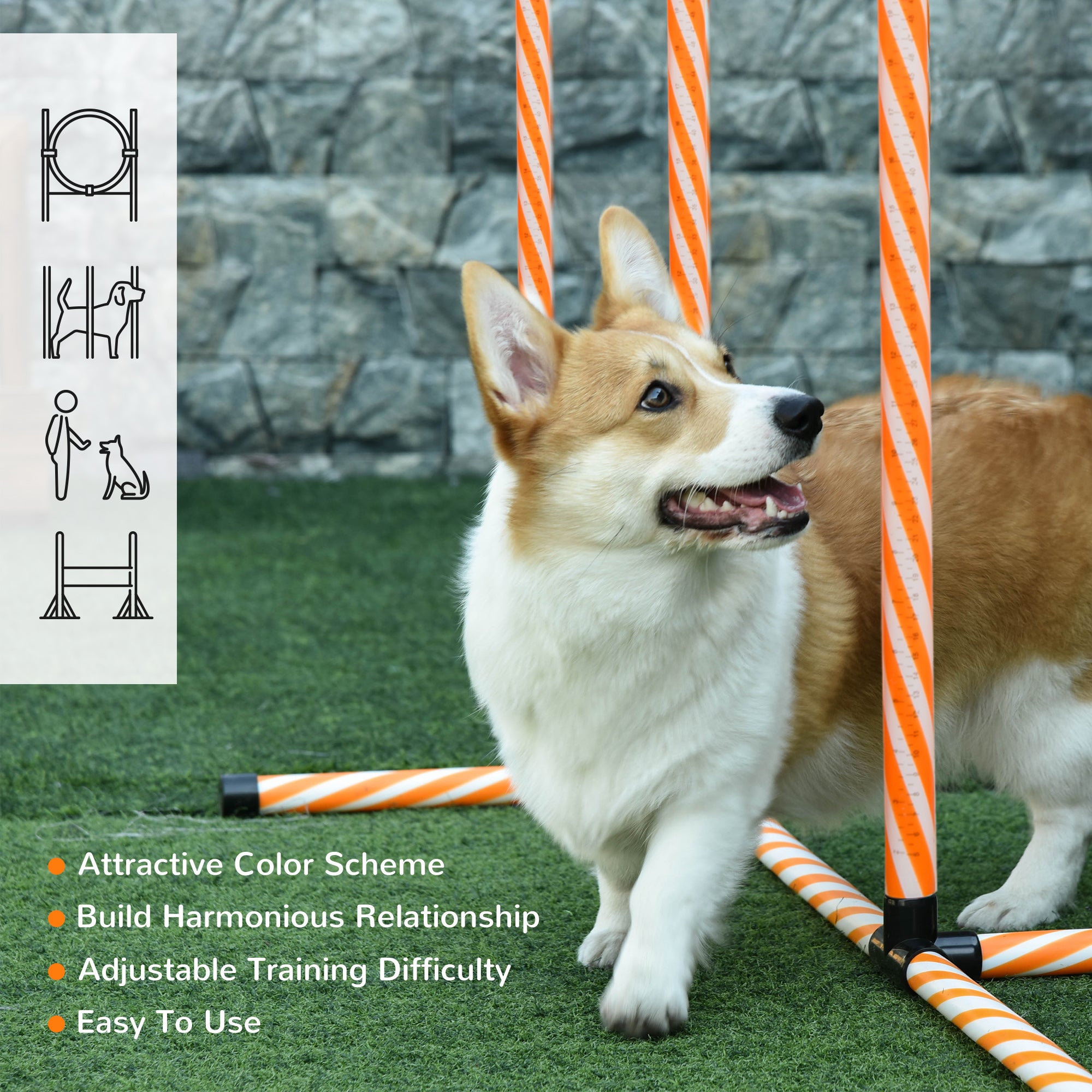 PawHut Dog Agility Equipment Pet Training Set with Adjustable Height Jump Ring Hurdle Whistle Weave Poles Square Pause Box Carry Bag 