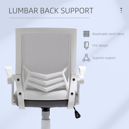 Vinsetto Office Chair, Ergonomic Desk Chair, Executive Computer Chair with 90° Flip-up Armrest and Lumbar Support, Adjustable Height for Home/Office, Grey 