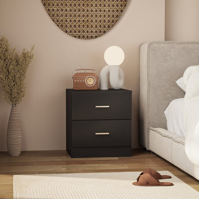 HOMCOM Modern Bedside Table, Beside Cabinet with 2 Drawers, for Bedroom, Living Room, Black 
