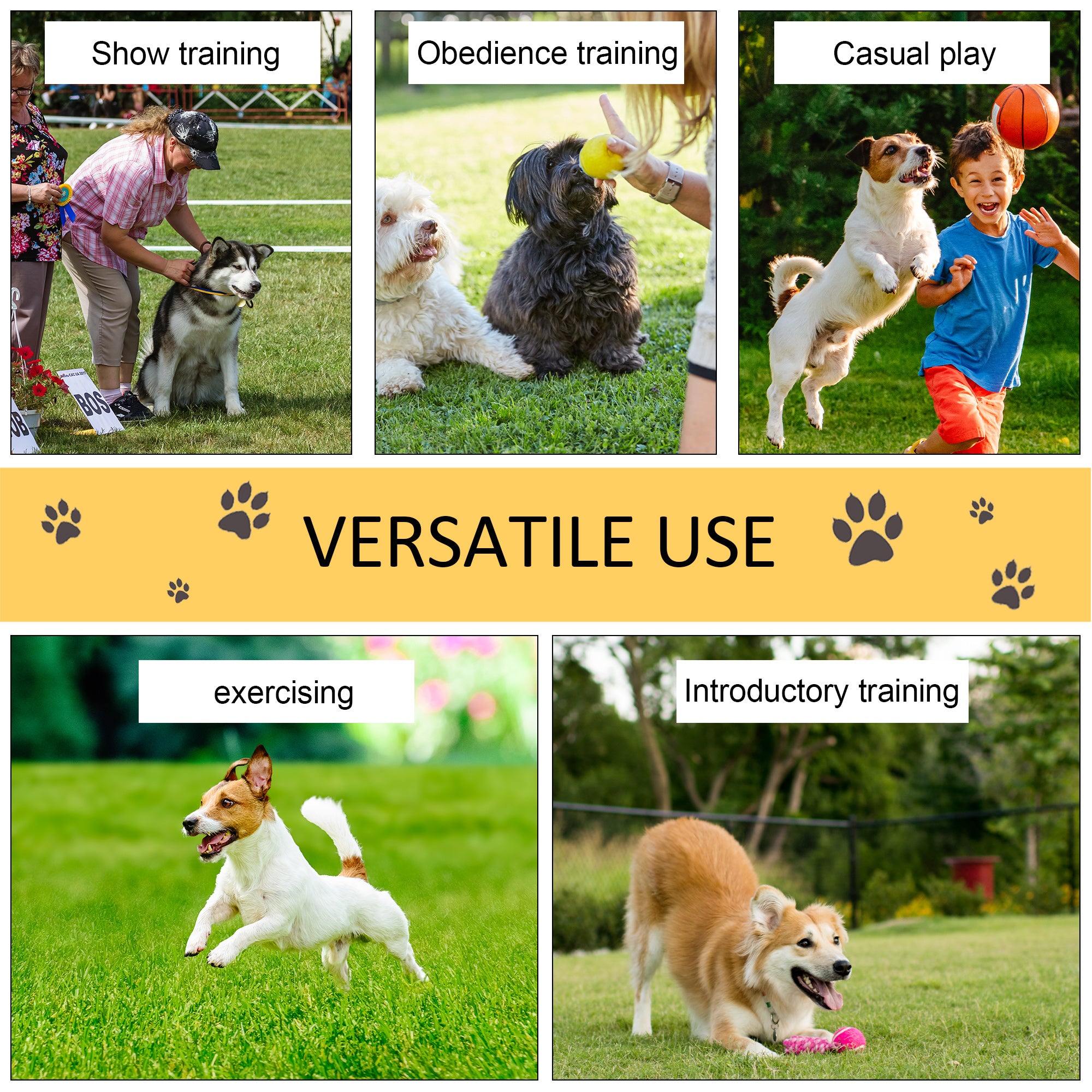 PawHut Pet Agility Training Equipment Dog Play Run Obedience Training Set Adjustable (Poles) 