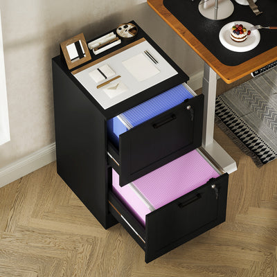 HOMCOM 2 Drawer Filing Cabinet with Lock, Office Storage Cabinet with Adjustable Hanging Bars for A4 Letter Size Files, Black 