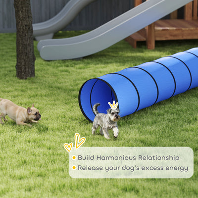 PawHut Dog Tunnel, 300 x 50 cm, Foldable Play Tunnel with 4 Pegs and Bag, Tear-Resistant Outdoor Dog Agility Equipment, Blue 