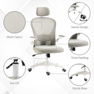 Vinsetto Multi-Adjustable Office Chair, with Lumbar Support, Headrest and Mesh Back - Grey 