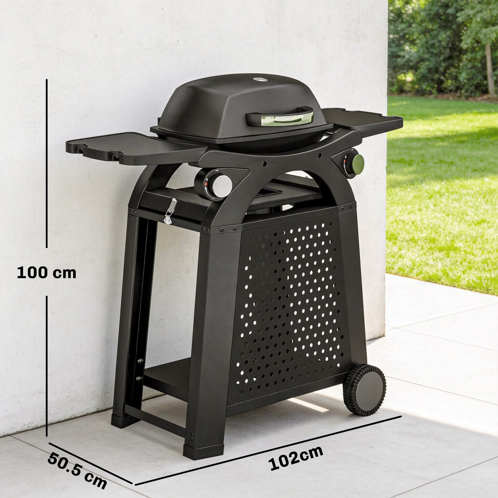 Outsunny 2 Burner Gas Grill with 2 Side Tables, 3.8 KW Barbecue Grill with Cast Iron Grates, 2-in-1 Tabletop BBQ with Wheels 