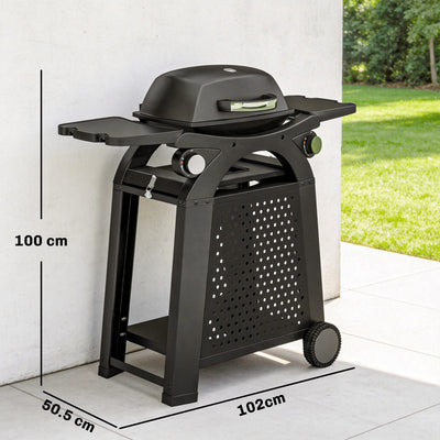 Outsunny 2 Burner Gas Grill with 2 Side Tables, 3.8 KW Barbecue Grill with Cast Iron Grates, 2-in-1 Tabletop BBQ with Wheels 