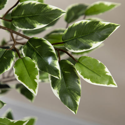 HOMCOM Artificial Ficus Tree in Pot, 130cm Tall Fake Plant with Lifelike Leaves and Natural Trunks, for Indoor Outdoor, Green 