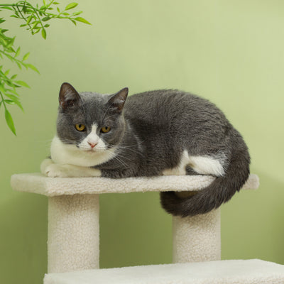 PawHut Dog Steps for Bed 4 Step Pet Stairs for Sofa Dog Cat Climb Ladder 63x43x60 cm Cream 
