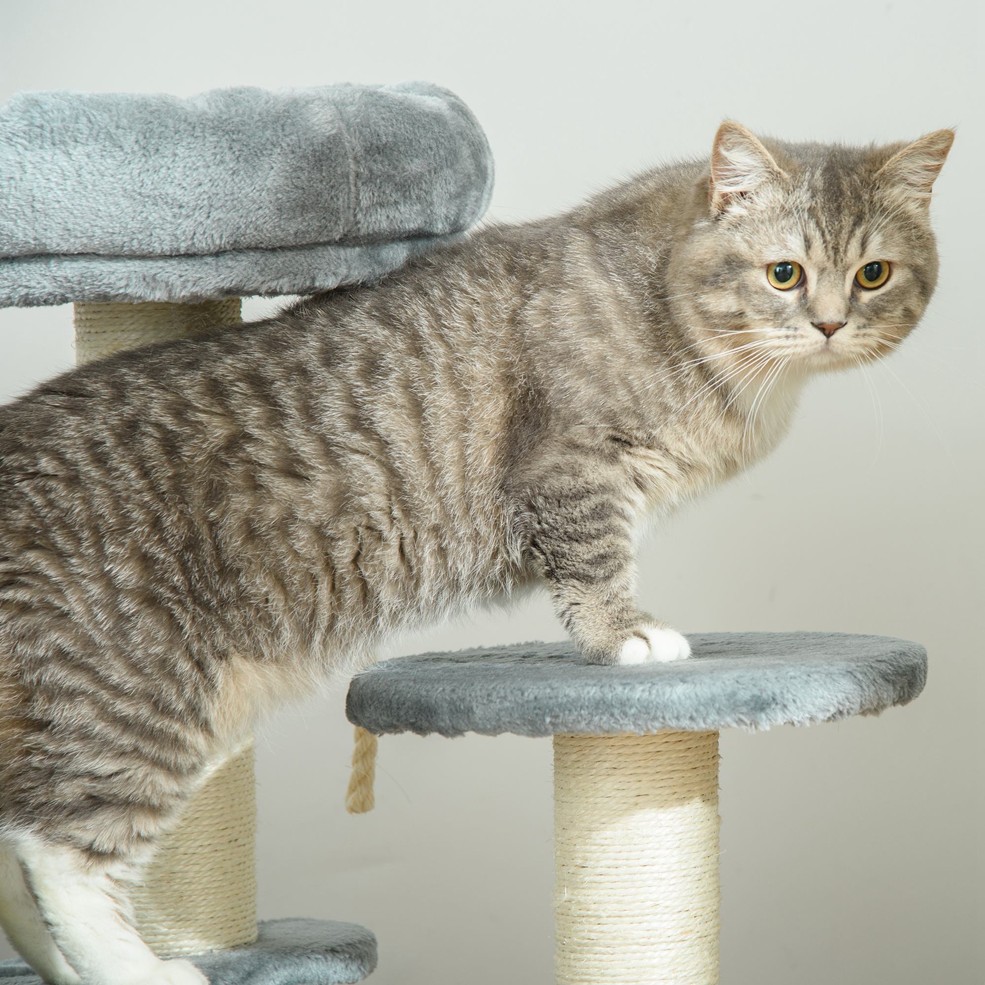 PawHut 65cm Cat Tree, Cat Tower for Kittens, Small Cat Condo with Sisal Scratching Posts, Hanging Rope, Perches - Grey 