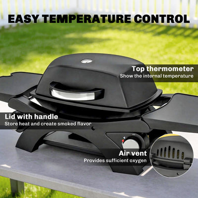 Outsunny 2 Burner Gas Grill with 2 Detachable Side Tables, 3.8 KW Steel Barbecue Grill with Cast Iron Grates, Lid, Thermometer 