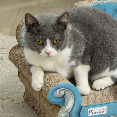 PawHut 2 in 1 Cat Scratcher with Catnip for Indoor Cats, 30.5 x 55 x 31.5cm, Light Blue 