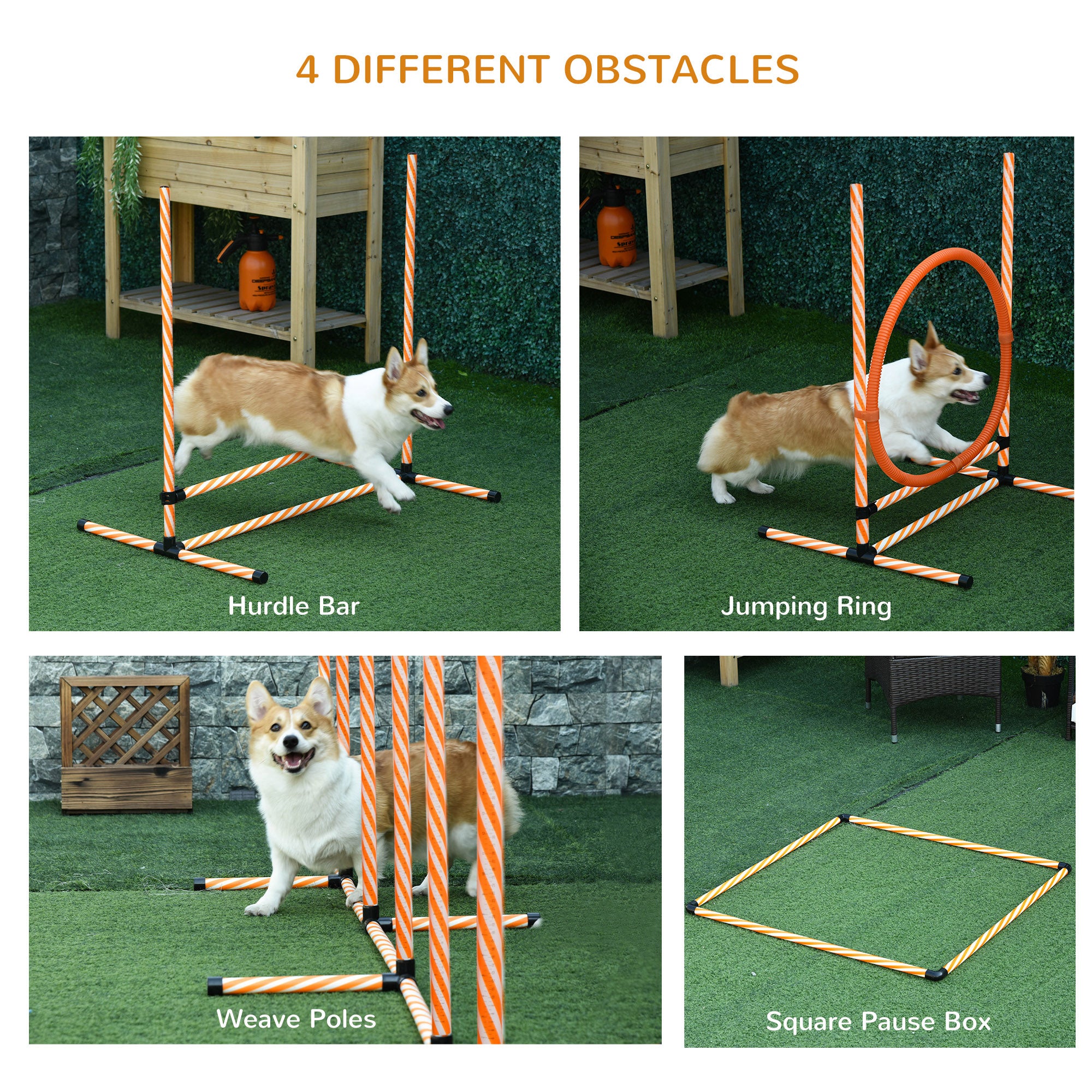 PawHut Dog Agility Equipment Pet Training Set with Adjustable Height Jump Ring Hurdle Whistle Weave Poles Square Pause Box Carry Bag 