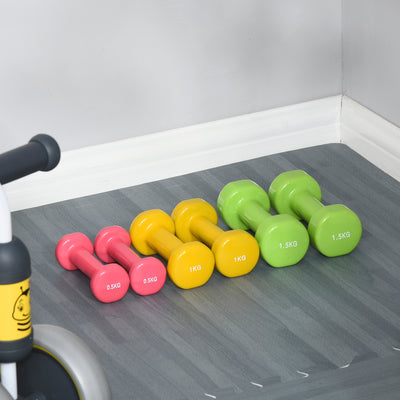 HOMCOM 6Kg Dumbbell Set, Fitness Weight Set for Men and Women, Home Gym Workout 