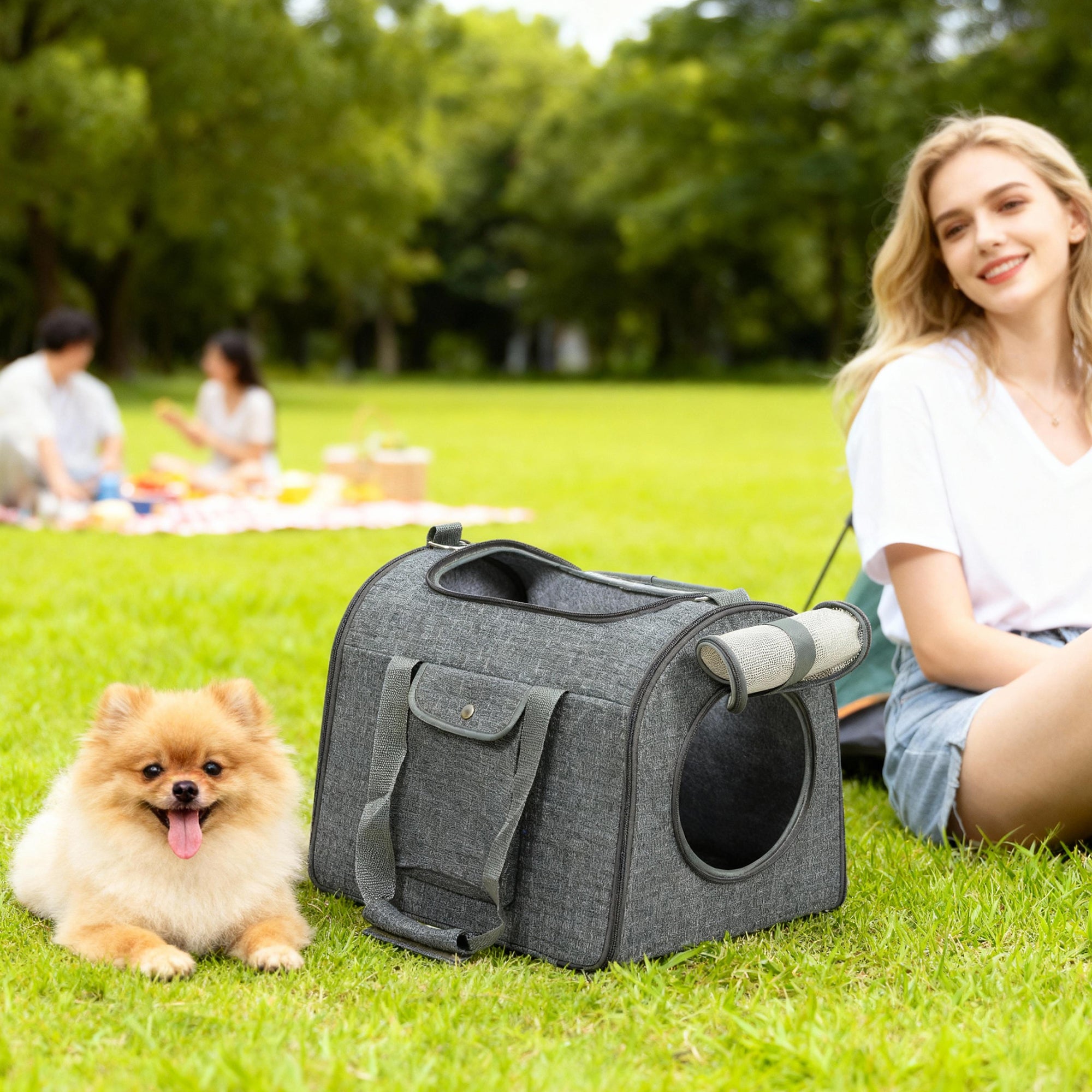PawHut Soft Sided Cat Carrier Bag, Portable Foldable Pet Carrier with Shoulder Strap & Removable Mat for Small Pet Up to 10kg 