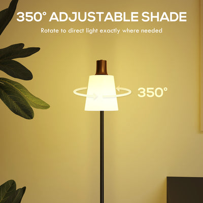 HOMCOM Floor Lamp with 350° Rotatable Head, Modern Standing Lamp with 3000K/4000K/6500K Colour Temperatures for Living Room Bedroom Office, Black 