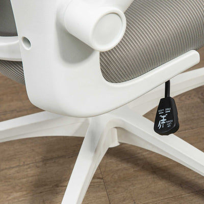 Vinsetto Multi-Adjustable Office Chair, with Lumbar Support, Headrest and Mesh Back - Grey 