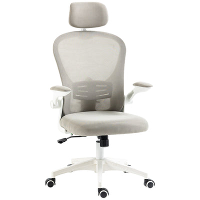 Vinsetto Multi-Adjustable Office Chair, with Lumbar Support, Headrest and Mesh Back - Grey 