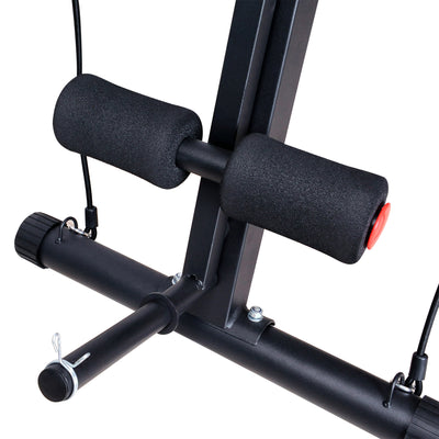 HOMCOM Adjustable Reclined Dumbbell Bench Weight Lifting Set Folding Sit Up Ab Bench Home Training Gym Multiuse Workout Exercise Fitness with 2 x 4kg Dumbbells 