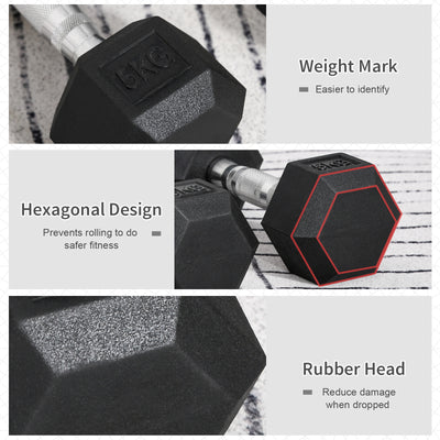 HOMCOM 2x5kg Rubber Dumbbell Sports Hex Weights Sets Gym Fitness Lifting Home 