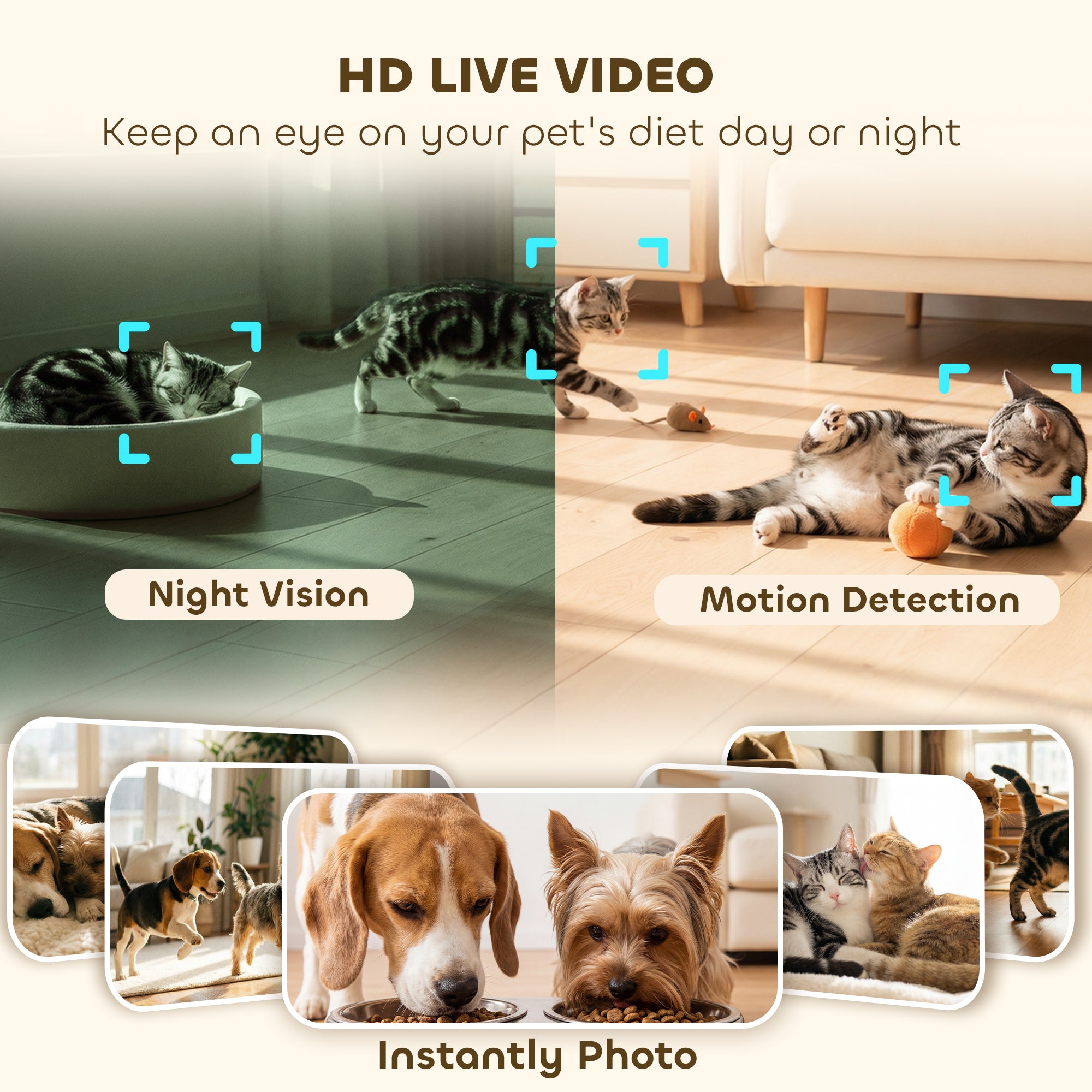 PawHut Automatic Cat Feeder for 2 Cats with HD Camera，2.4G & 5G WiFi Pet Food Dispenser 6L APP Control 