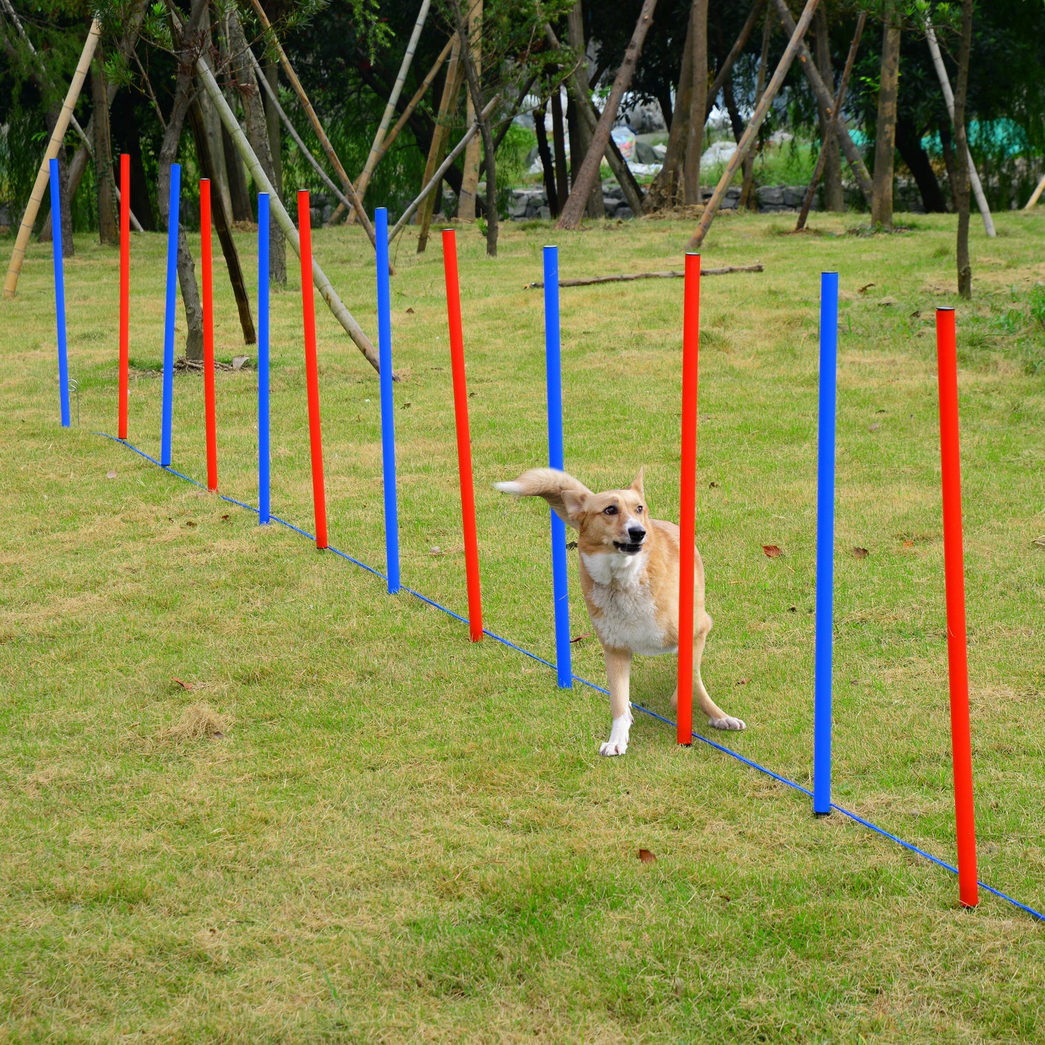 PawHut Pet Agility Training Equipment Dog Play Run Obedience Training Set Adjustable (Poles) 
