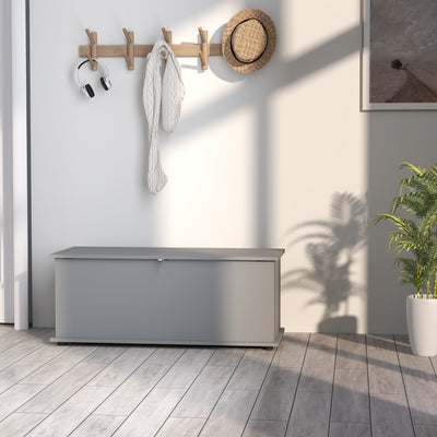 HOMCOM 113L Storage Chest, Storage Box with Flip-Top Lid and 2 Safety Hinges, Storage Trunk for Living Room, Entryway, 100 x 40 x 40 cm, Grey 