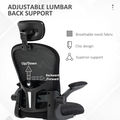 Vinsetto Multi-Adjustable Office Chair, with Lumbar Support, Headrest and Mesh Back - Black 