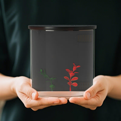 PawHut 3L Small Fish Tank with Filter System, LED Light, Small Fish Tank for Betta, Goldfish, Shrimp, Black 