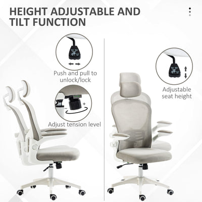 Vinsetto Multi-Adjustable Office Chair, with Lumbar Support, Headrest and Mesh Back - Grey 